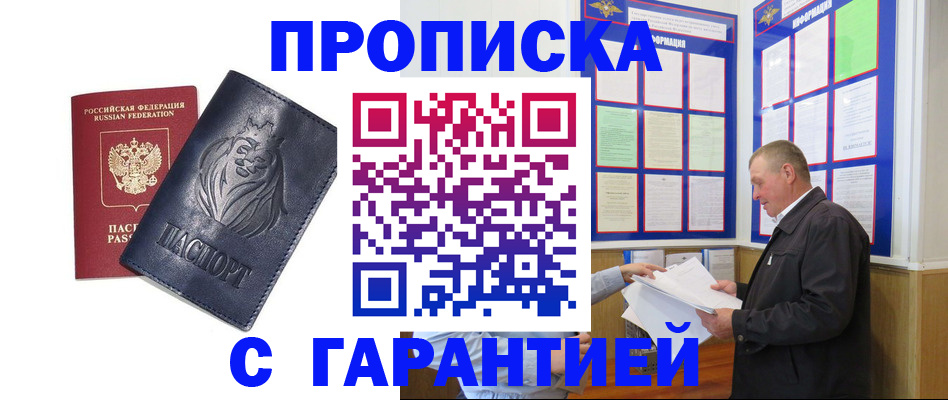 прописка поиск в Павловске
